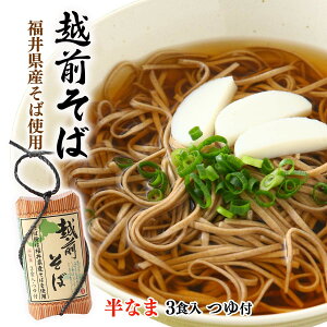  [Ė] zO 3H t 420g(߂120g×3A߂20g×3) / 邻 鋼 ˗  zO Nz ^Cv  Mtg 蕨 v[g yY Y 䌧Y z