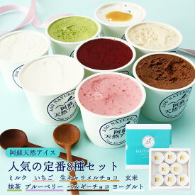 【10%OFF 楽天スーパーSALE限定】[阿蘇天然アイス] アイスクリーム 人気の定番8種セット 120ml×8 /ジャージーアイス ジェラート アイスセット 冷菓 冷スイーツ デザート ギフト 贈り物 詰合せ