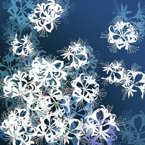 C~Ȃ ֎썹؁iD70cmj{ qz CObY GRobO h NLOi o ސEj