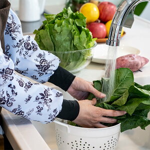 A[Jo[m{^jJn{ qz { b Ȃ ʋC K Lb`[N K[fjO ԃObY h΍ ~΍ ΍ A[EH[}[ g