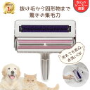 【ランキング1位 送料無料】ぱくぱくローラーW ぱくぱく お掃除...