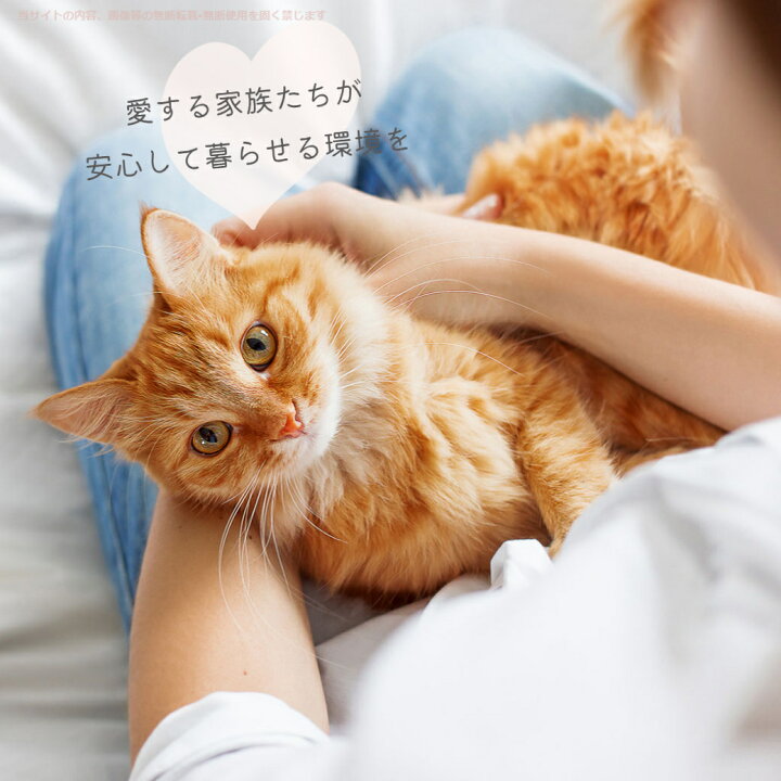 楽天市場 ぱくぱくローラー ケース付き パクパク 犬猫兼用 ほこり取り 犬の毛 猫の毛 ペットの毛 抜け毛取り 髪の毛 ホコリ取り 毛布 ほこりとり カーペット ソファ 猫用品 犬用品 ペット用品 掃除グッズ 猫毛ワイパー コロコロ 抜け毛取りローラー 日本シール 年末年始