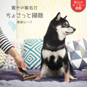 yzG`PbguV 傱Ƒ| L  ю uV J[ybg |pi ˂G ybgpi Lbg^[ |  oM[ Q Ki  R[i[ J[V[g 