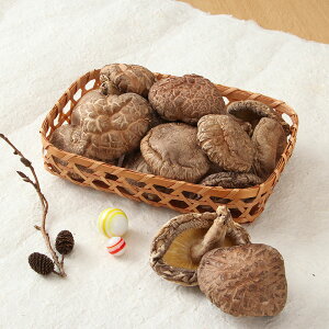 啪Yőuǂ񂱁vk120gl