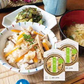 乾し筍メシ 2合用2個セット 料理の素 竹の子ご飯の素 炊き込みご飯の素 調味料 化学調味料不使用 タケノコごはん 九州ごはん 料理の素