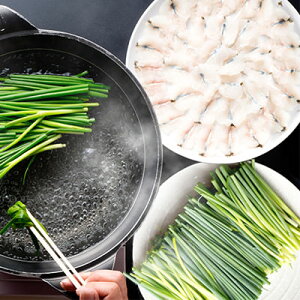 fpȕA\u˂ԁvZbg eفE啪 ykCEE ͂sz