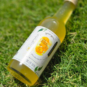 Y ݂TC_[ 6{Zbg Y_ W[X  ݂TC_[   ݂ TC_[ hN ₩