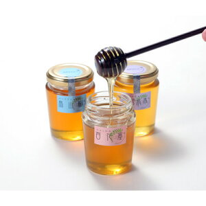 򗢎RYɂALŉ[킢݂̂͂EVR݂͂l H[Eΐ쌧