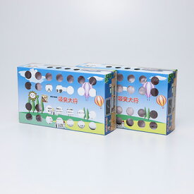 脱臭剤 吸臭大将 2箱セット トイレ・押入れ・下駄箱・車内を半永久的に消臭・除湿可能 有限会社サカエ 愛知県