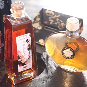  ~ 2013NxM[iTQiReXgۖo܎ Md~߂ЂтZbg 500mlE200ml×e1{ ˔ ܖH[ 啪