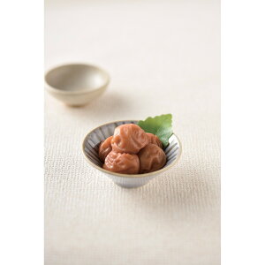 〈和歌山・紀州高田果園〉紀州南高梅 はちみつ入梅干 真心