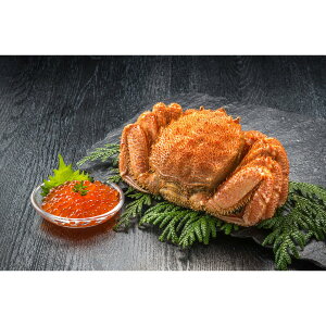 JlRcY@тɁEZbgyꌧE zsz