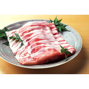 s 勴 Y؃[XԂԗp 1040g