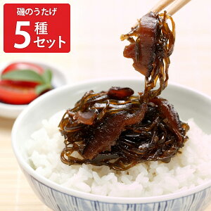 ̂ kCY z ώ Hה׃Zbg 5lߍ킹 Ԓώ т̂  ܂ |Xg