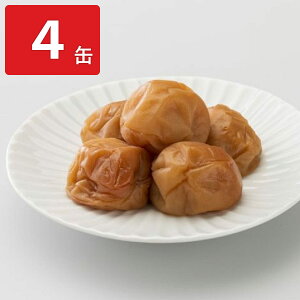 ~ IB썂~ 4ʃZbg ~H ʋl H ʋl ~ ۑ т̂ ߂ڂ ۑH h