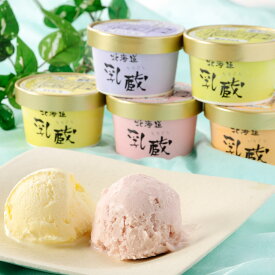 北海道アイスクリーム 5種 10個 セット 乳蔵 アイス 詰め合わせ バニラ デザート スイーツ 洋菓子