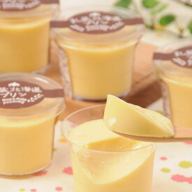 【10%割引】北海道プリン 5個 セット 乳蔵 洋菓子 デザート スイーツ 北海道スイーツ 冷凍