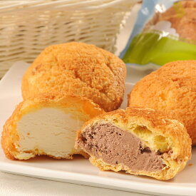 【10%割引】北海道シューセット シュークリーム 詰め合わせ 乳蔵 デザート スイーツ 洋菓子 ミルク チョコレート お菓子