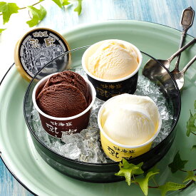 北海道アイスクリーム 9個セット 詰め合わせ 乳蔵 アイスクリーム スイーツ アイス 洋菓子 デザート バニラアイス チョコアイス おやつ 北海道グルメ 北海道