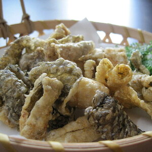 `bv 4܃Zbg kC ܂ ̔ CN   ɍ  r[ɍ VP ܂ݒ Cɂ TP̔