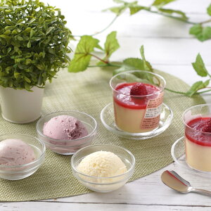 ACX 䕃v 4v8 lߍ킹 ACXN[ v XC[c  kCv  kCACXN[  mَq