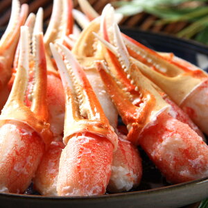 Ⓚ {C킢 ɒ 750g YCKj {C   CN I ŃYCKj ɂ  kȂ Hׂ₷ ނg 킢I