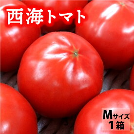 送料無料 高糖度トマト 西海トマト 長崎県産 九州産 Mサイズ 3kg×1箱 セット 甘い グルメ 国産野菜 岐阜県 ※期間限定商品