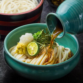 饂飩 冷凍 讃岐うどん 贅沢4種 詰め合わせ 6人前 RY-6 うどん本陣山田家 讃岐うどん 香川県 かきあげ ざる