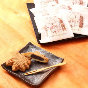 ݂\ c 20 Zbg ÓXL L ykCEE zsz