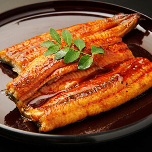 浜名湖謹製 うなぎ蒲焼 2人前 カット 110g 2袋 鰻蒲焼 うなぎ 国産 うなぎの蒲焼き お取り寄せ 静岡 浜名湖うなぎ 蒲焼き 冷凍 温めるだけ レンチン【沖縄県・離島 配送不可】