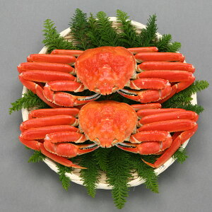 Ⓚ 킢I 2t YCKj Ⓚi 킢 {Cς Ⓚł YCI  Jj ^I YC Ⓚ{CYCKjyꌧE zsz