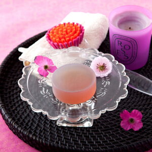 ̎アSȃNA\[vZbg yA[U GXe\[v i2Zbgj