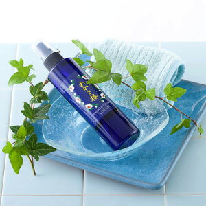 Y֖z JT~Xg^Cv̉ϐ 킩֑Sgp[V ij^iJE䌧