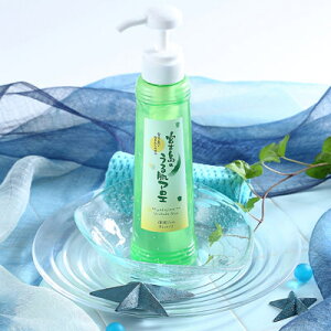  AGxŏ̂ {Ó̂锧AG ێWF300g