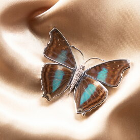 【10%割引】リアルバタフライ マグネットブローチ ブローチ 蝶 珍しい 高級 蝶の羽 ちょうちょ アクセサリー 服飾小物 希少 日本製