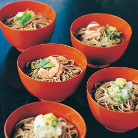 半なま わんこそば KW-GK 北舘製麺 蕎麦 セット 国産 麺 そば 岩手 八幡平 北館のわんこそば 岩手県名物 郷土料理