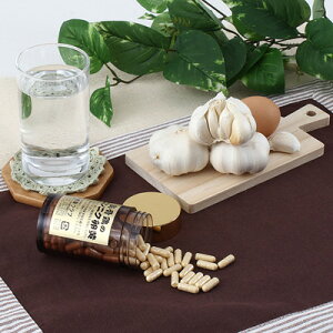 X̌NǗɁI G{̃jjN irj