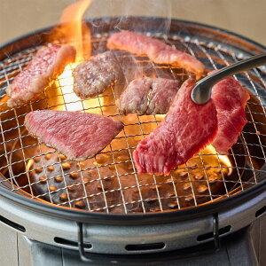 鳥取和牛 特撰カルビ焼肉セット 500g 国産 牛肉 バーベキュー 焼き肉 カルビ 肉 限定 高級 贅沢 鳥取県