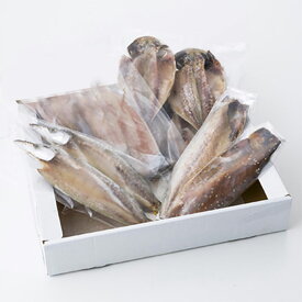 【10%割引】海鮮 ひものセット 有限会社魚伝 神奈川県 秘伝の製法で一枚一枚丁寧に仕上げた干物を神奈川・真鶴から直送します