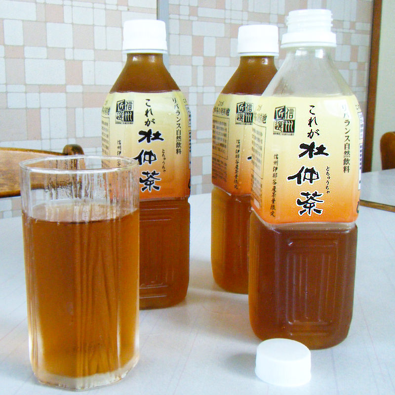 大流行中！これが杜仲茶 500ml×24本 サンメクス ノンカフェイン ペットボトル トチュウ茶 健康 長野県 国産 お茶飲料