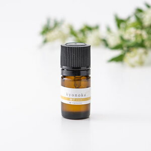  kyonoka Mq KEKt@[ s{ bNXʂ̍VgX̍𔭂MqAk̗肨͂