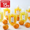旬のちゅうちゅうゼリー きまぐれセット 15個入 各175g 5種×3 ゼリー銘柄おまかせ ゼリー飲料 スイーツ 愛媛 お取り…