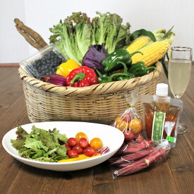 おいしいお野菜便葉な果菜ボックス〔10品程度〕 おいしい野菜の店 葉な果菜 大分県