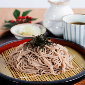 送料無料 ポイント消化 お試し ポスト投函便 食品 生そば セット 蕎麦 ざるそば かけそば 4食 生蕎麦 ポスト投函便 つゆ付き