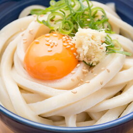 【10%割引】極太麺 讃岐うどん 6食〔300g×2〕 超もちもち さぬきうどん 香川県 送料無料 ポスト投函便