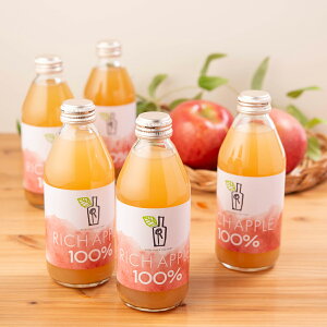 RICH APPLE _h~ܕsgp Xg[g W[X 12{ 񂲃W[X t[cW[X  X ӂ  XY100 yE zsz