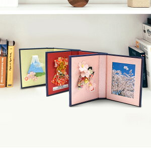  tHgXe[W ʐ^ 3 Zbg tHgt[  X^h {yY CeA ЃNGCeBuX|bg{ s