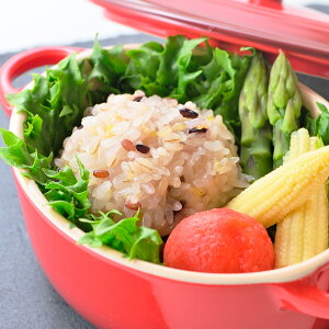 VE}C 12 a_S { Č{イ܂ ⓀHi   y {薼 Y  叫 {茧