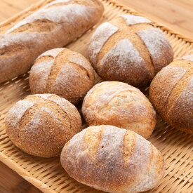 全粒粉パン セット 詰合せ パン ライ麦パン 田舎パン 食べ比べ 北海道産小麦 冷凍 長期保存 お取り寄せ 朝食 長野 まめぱん