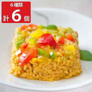 一膳ごはん 6個セットB 6種 詰め合わせ おこわ 和風惣菜 ご飯パック 冷凍 手軽 常備 惣菜 華味鳥 かしわごはん そぼろ寿司 とりごぼう ドライカレー 玄米